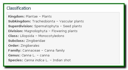 Canna indica – Indian Shot.مشخصات گياهي.وبلاگ كشاورزي